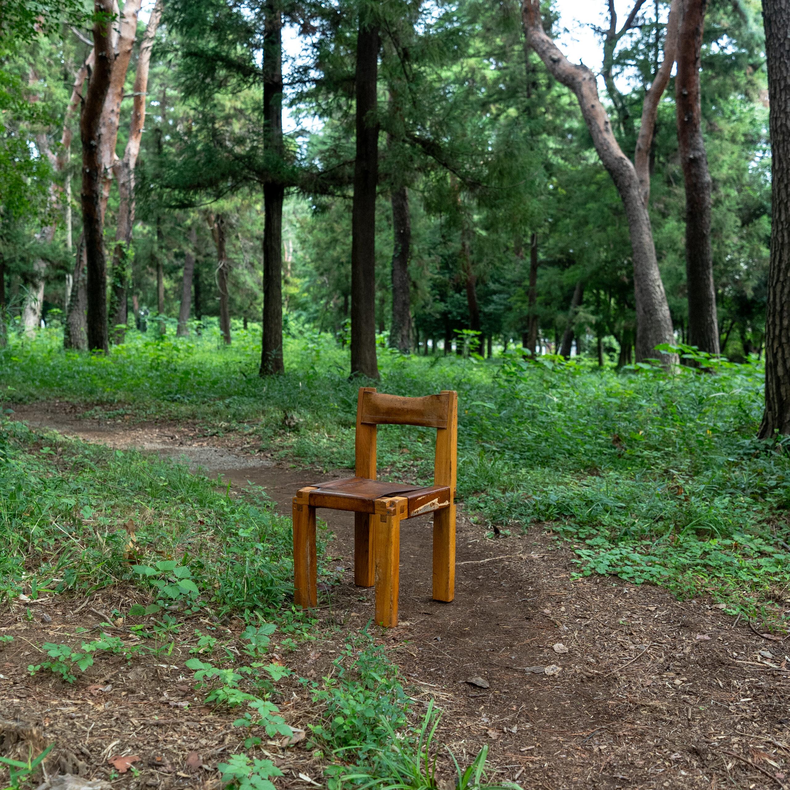 Pierre Chapo, chair set