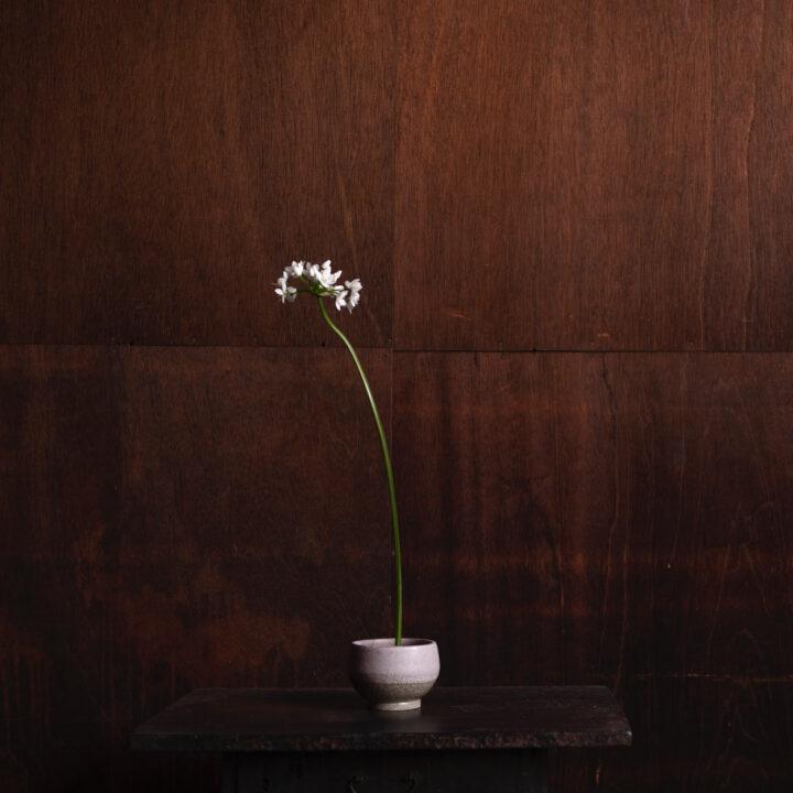 Flower Bowl / Matte Lilac Speckled Glaze