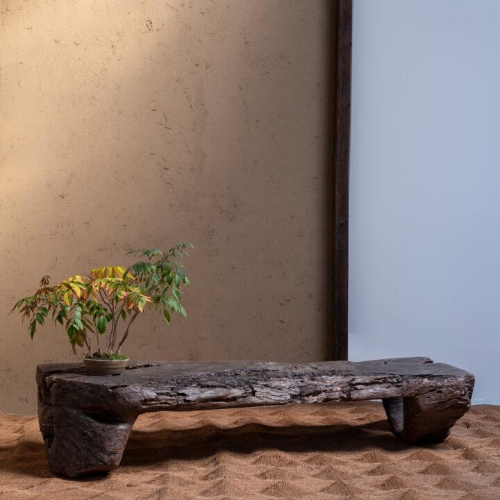 Sculptural Bark Coffee Table