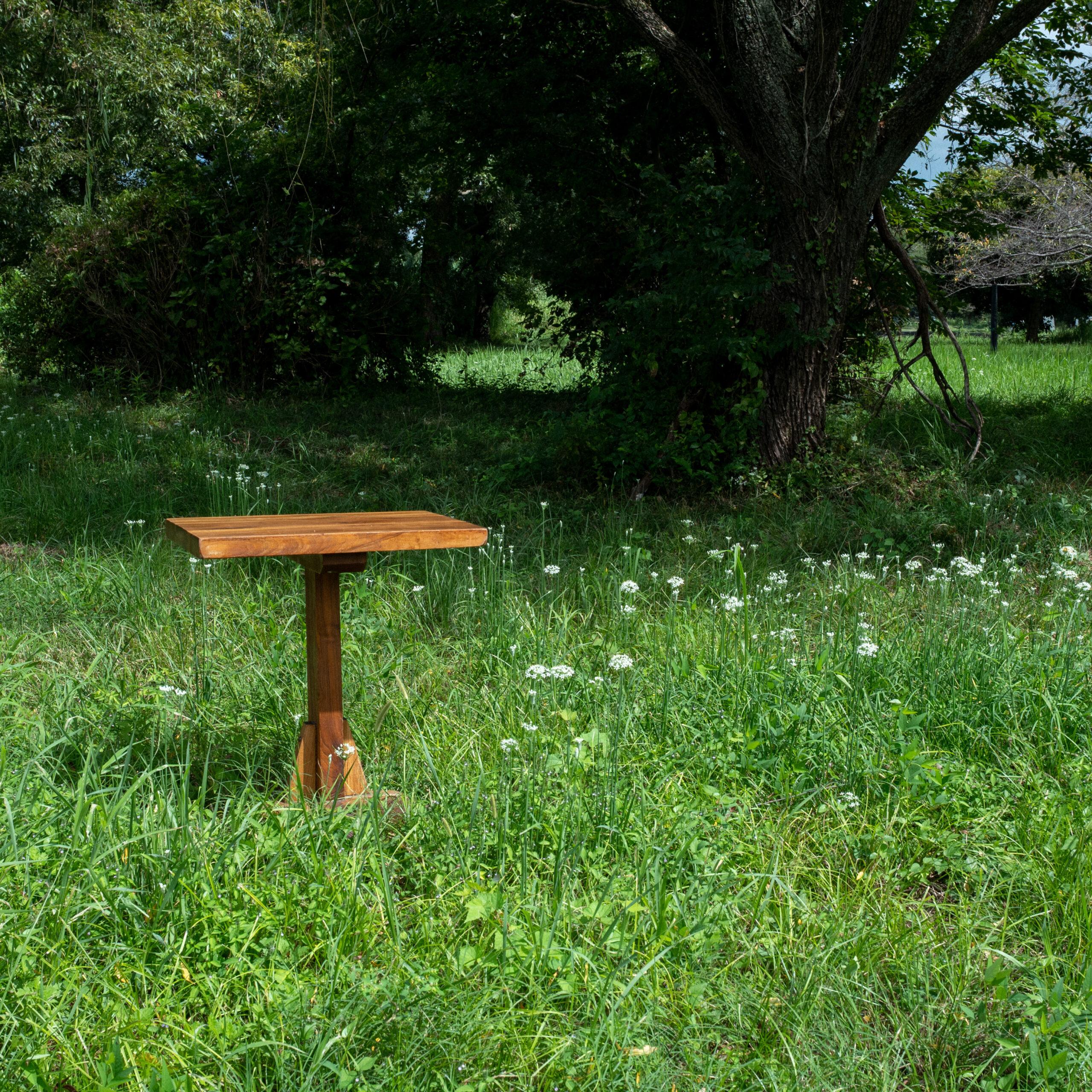 Pierre Chapo, coffee table