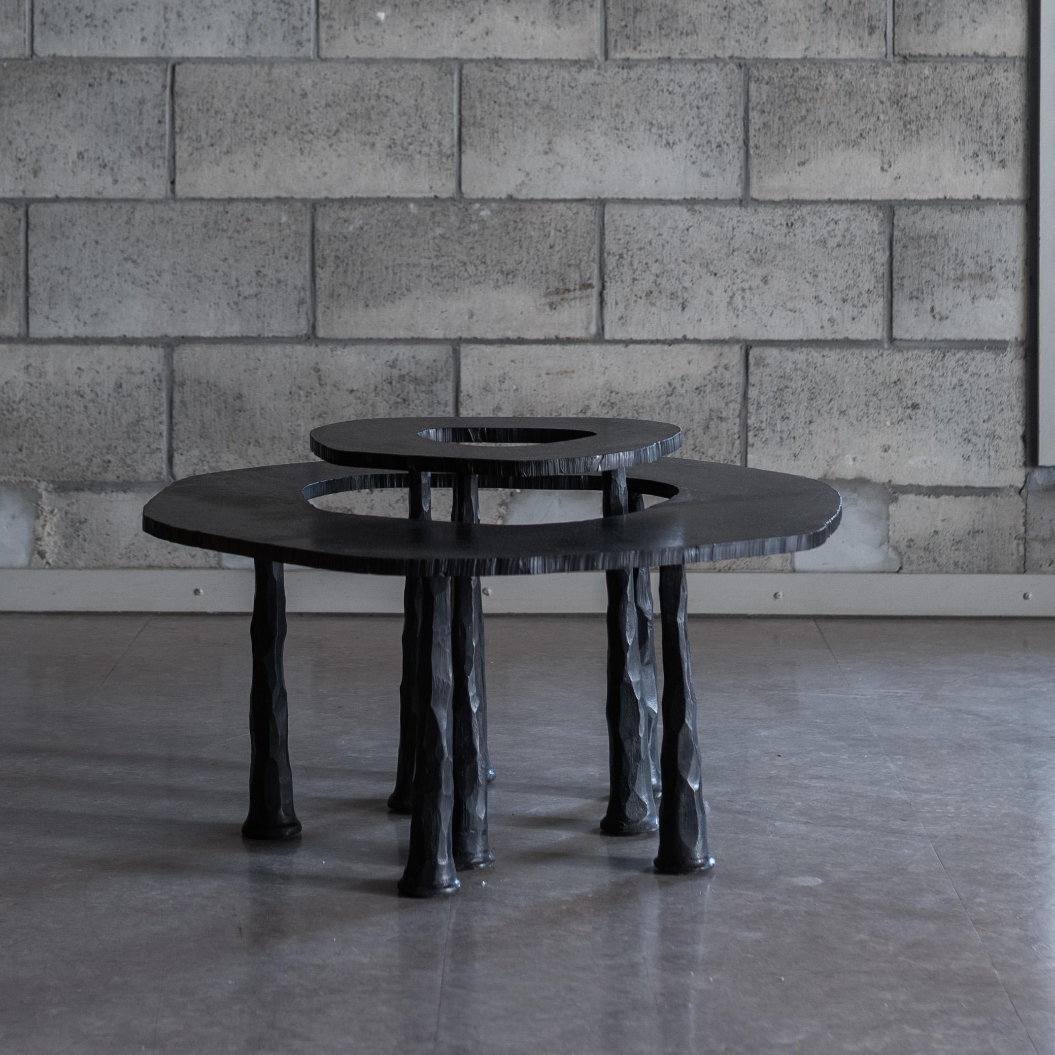 Thomas Serruys, round table