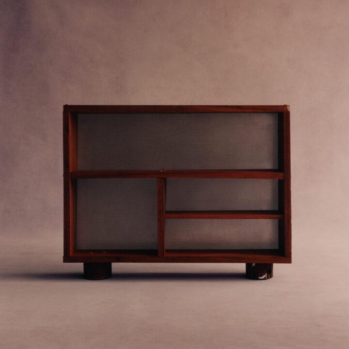 Mahogany, Palm, and Perforated Steel Cabinet